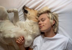 why does my dog sleep on me